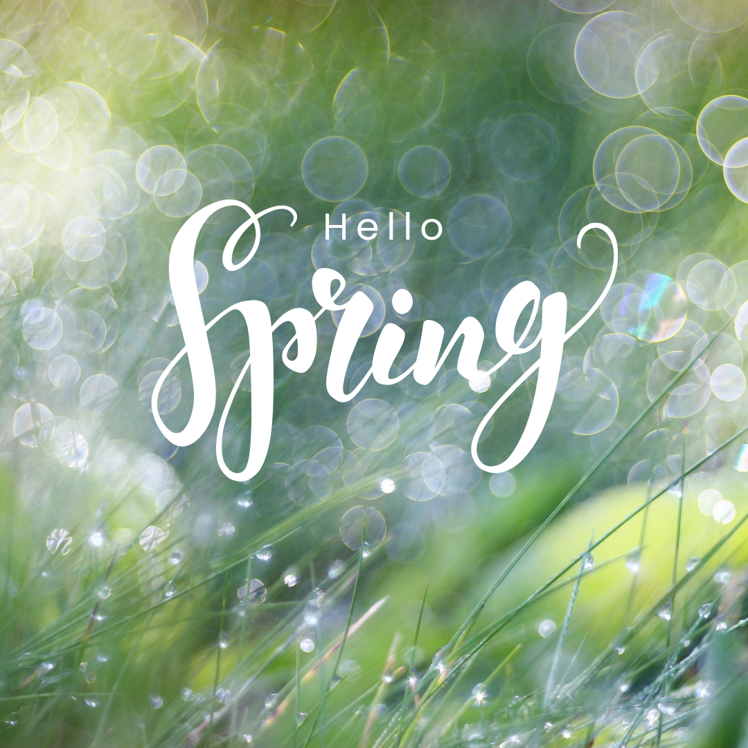 Spring Days at Woodside Leisure Park 💐